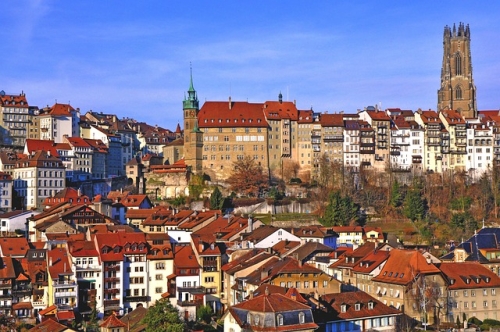 (Pour 2 personnes ou une famille) Sortie ornithologique en ville de Fribourg
